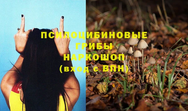бошки Алексеевка