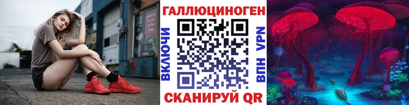 Псилоцибиновые грибы Psilocybe  сколько стоит  Болхов 